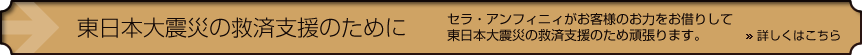 東日本大震災の救済支援のために